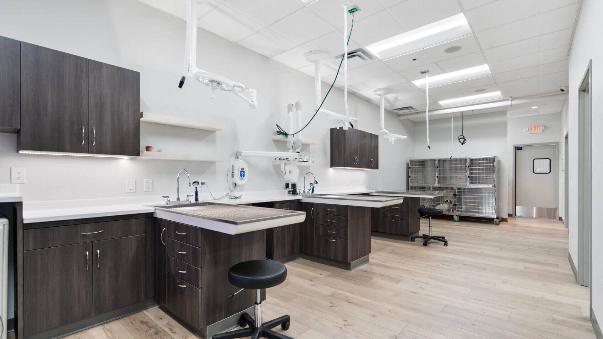 Scottsdale Veterinary Hospital
