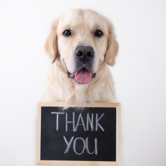decor image on Phoenix Mobile Veterinarians