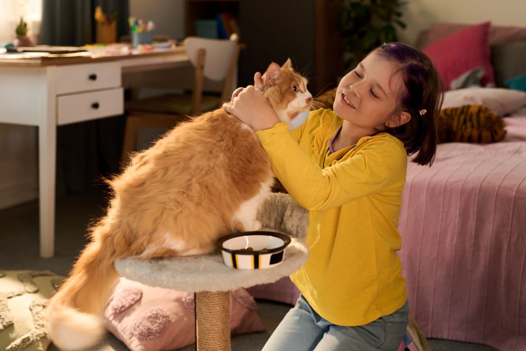 Girl petting a ginger cat comfortably at home in Scottsdale, AZ