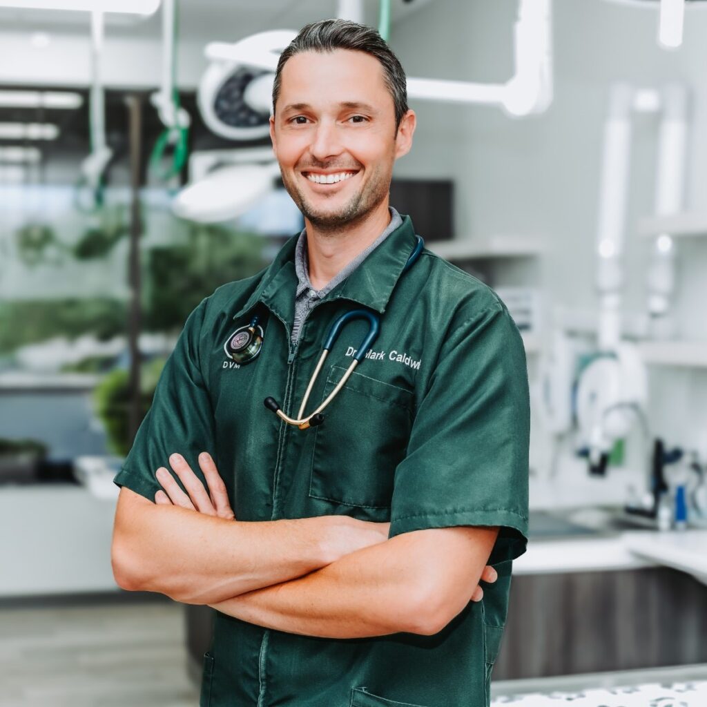 Dr. Mark Caldwell in veterinary scrubs at Scottsdale Animal Hospital in Scottsdale, Arizona