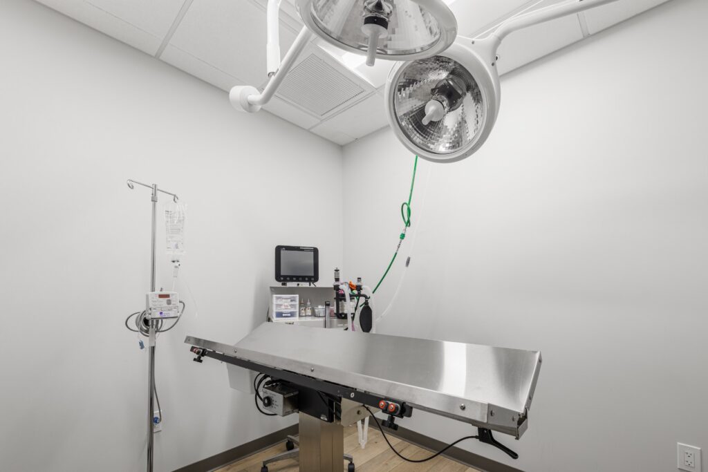 Veterinary surgical suite with overhead light and monitoring equipment in Scottsdale, Arizona
