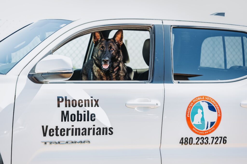 Phoenix Mobile Veterinarians service van with a dog visible through the front window