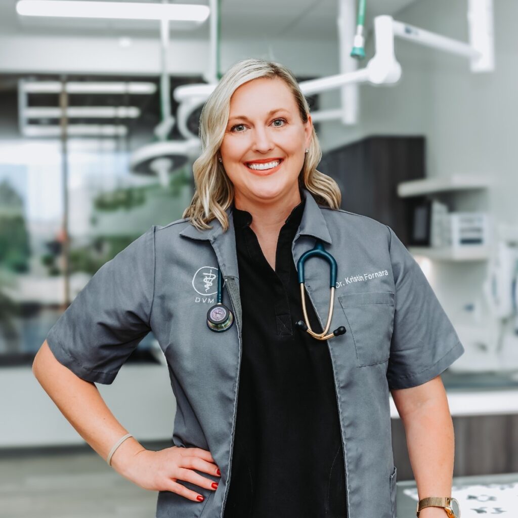 Dr. Kristin Fornara in veterinary scrubs at Scottsdale Animal Hospital in Scottsdale, Arizona