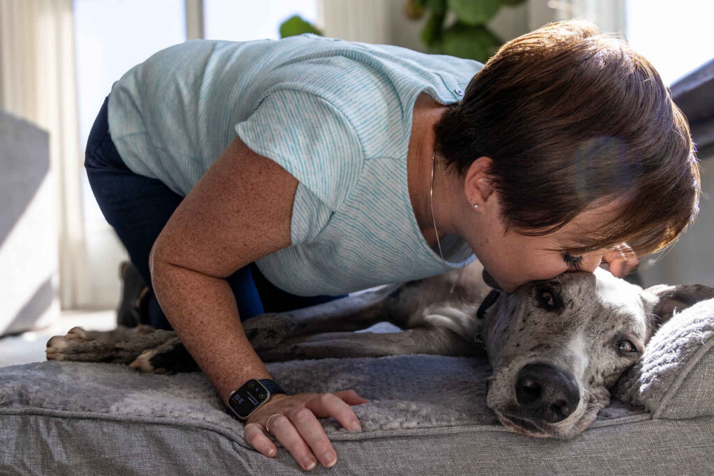 Pet owner comforting a cat at home during a quiet end-of-life care moment with gentle support
